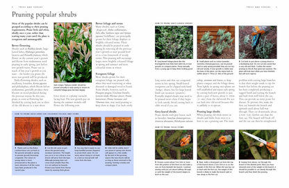 Illustrated Practical Encyclopedia of Pruning, Training and Topiary: How to Prune and Train Trees, Shrubs, Hedges, Topiary, Tree and Soft Fruit, Climb