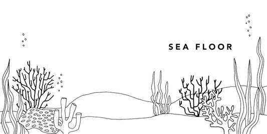 How to Draw Under the Sea for Kids