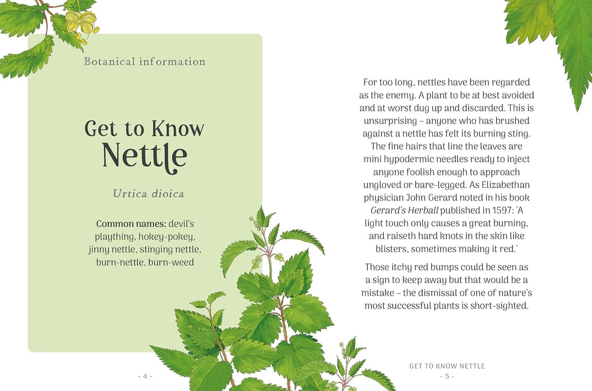 Nettle: Simple Things to Do with the Plants Around You (The Little Wild Library)