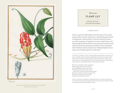 Darwin and the Art of Botany: Observations on the Curious World of Plants: Observations on the Curious World of Plants