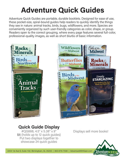 Whale-Watching on the Pacific Coast: Easily Identify Whales, Dolphins, and Other Marine Mammals: Easily Identify Whales, Dolphins, and Other Marine Mammals