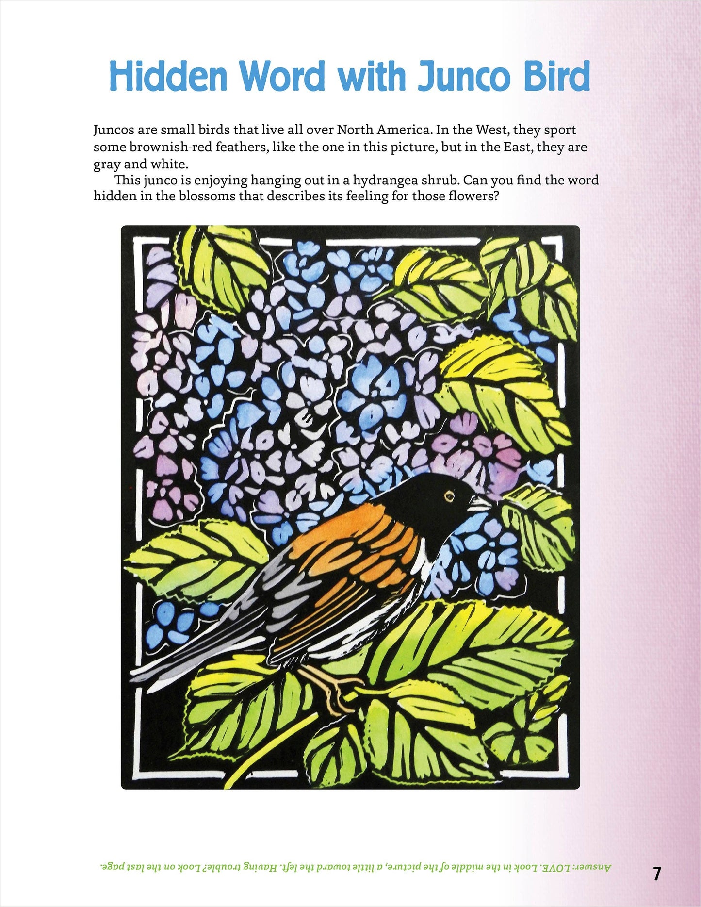 Molly Hashimoto's Art & Nature Activity Book
