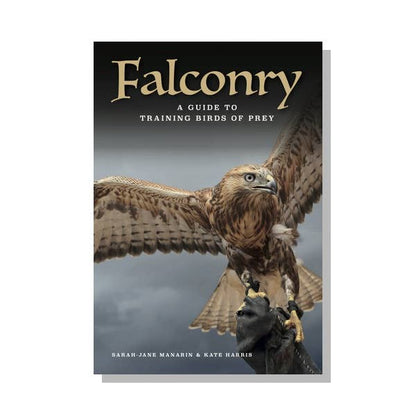 Falconry: A Guide to Training Birds of Prey