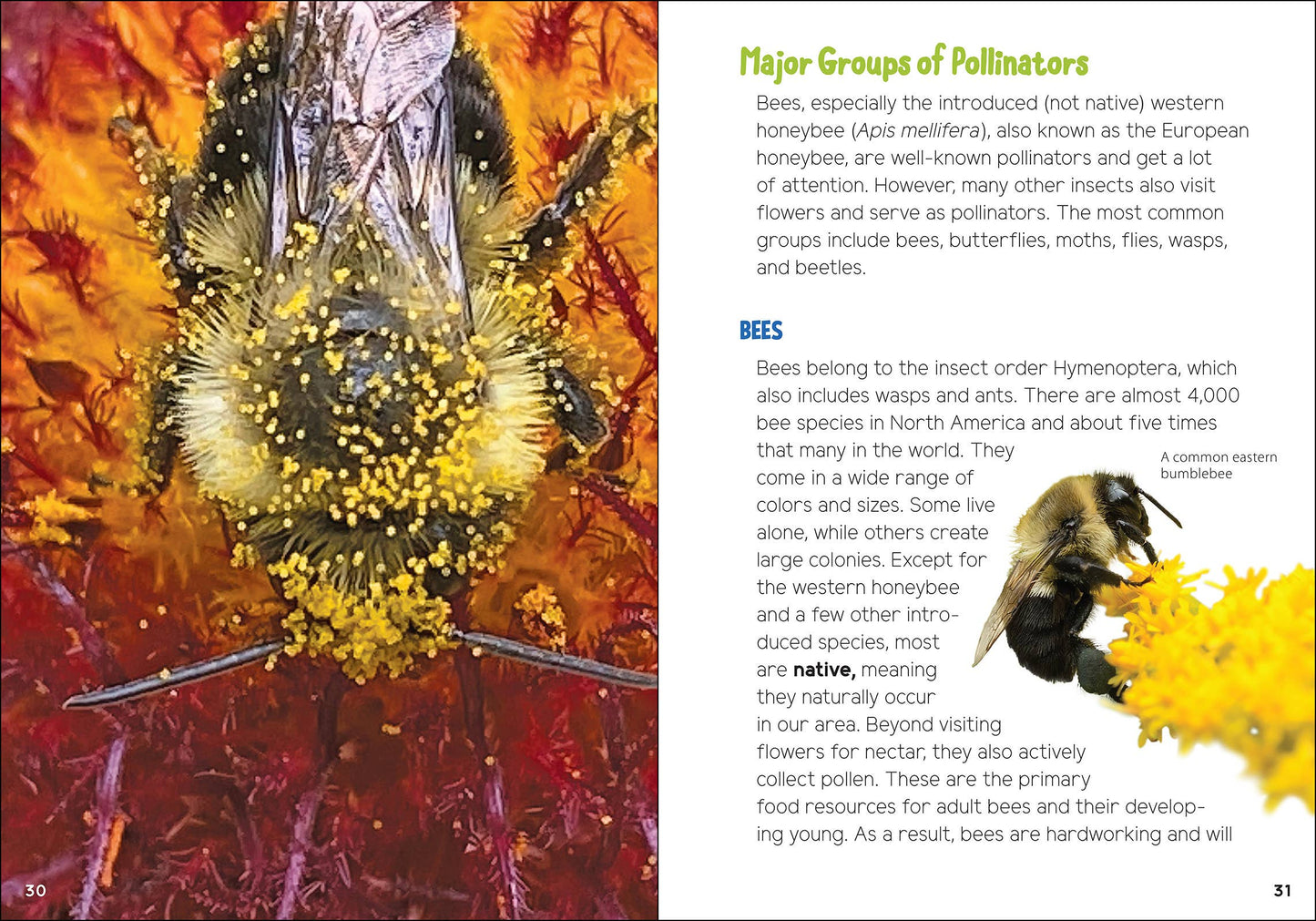 Pollinators & Native Plants for Kids: An Introduction to Botany by Jaret C. Daniels