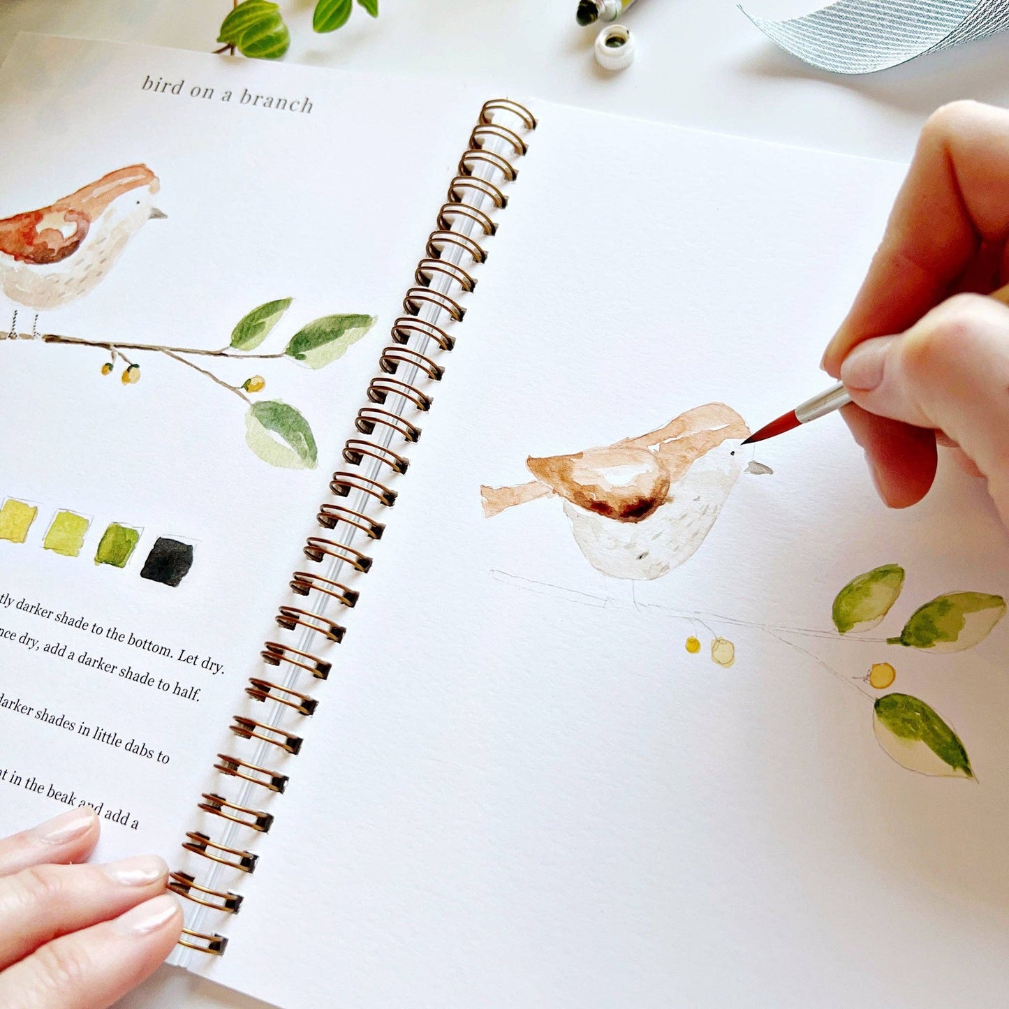 Animals Watercolor Workbook by Emily Lex