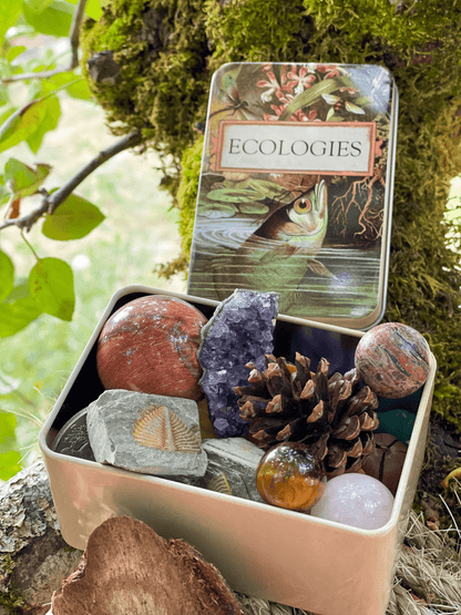 Ecologies Card Game Metal Tin - Archerfish Image