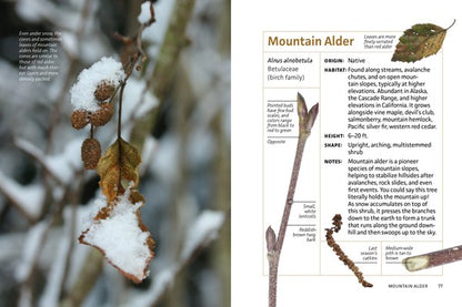 Winter Twigs of the Pacific Northwest: Common Trees and Shrubs