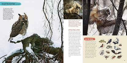 Owling: Enter the World of the Mysterious Birds of the Night by Mark Wilson