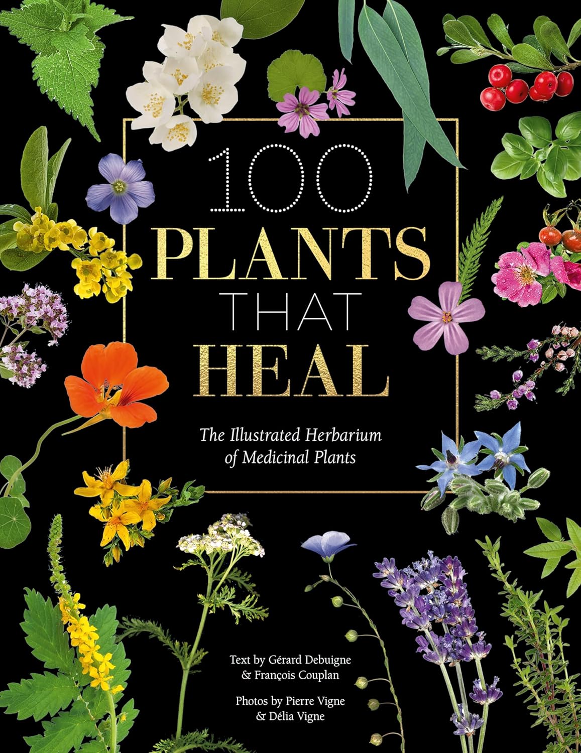 100 Plants That Heal: The Illustrated Herbarium of Medicinal Plants by François Couplan & Gérard Debuigne