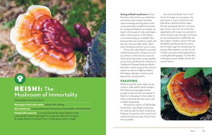 How to Forage for Mushrooms Without Dying: An Absolute Beginner's Guide to Identifying 29 Wild, Edible Mushrooms