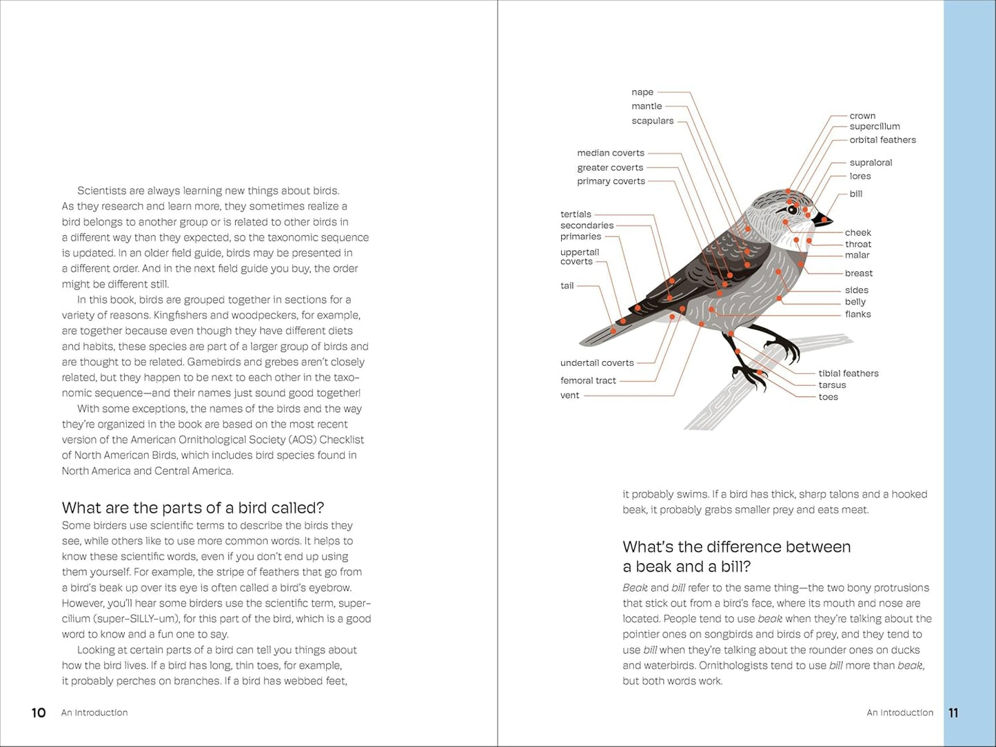 Birds of the Pacific Northwest for Kids