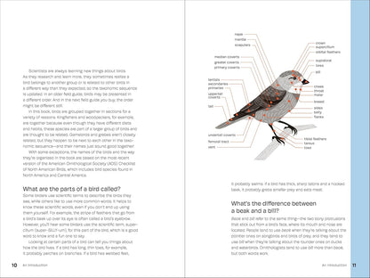 Birds of the Pacific Northwest for Kids