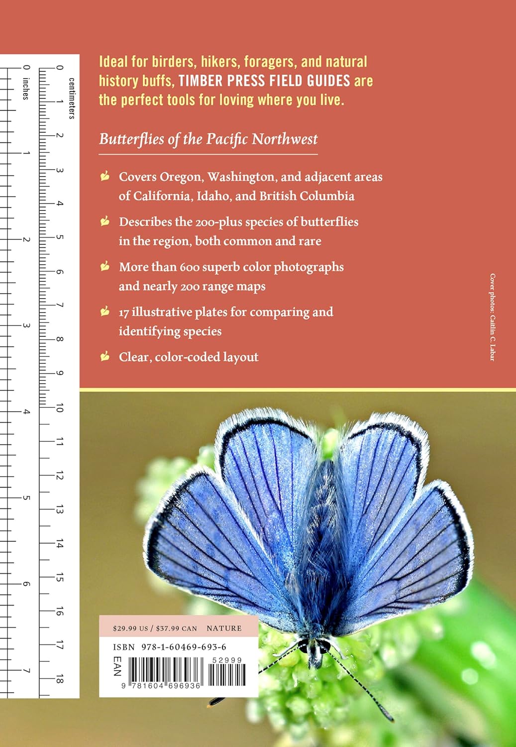 Butterflies of the Pacific Northwest by Robert Michael Pyle & Caitlin C Labar