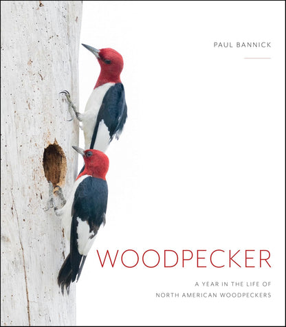 Woodpecker: A Year in the Life of North American Woodpeckers