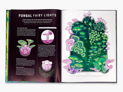 Glow: The Wild Wonders of Bioluminescence by Jennifer N R Smith