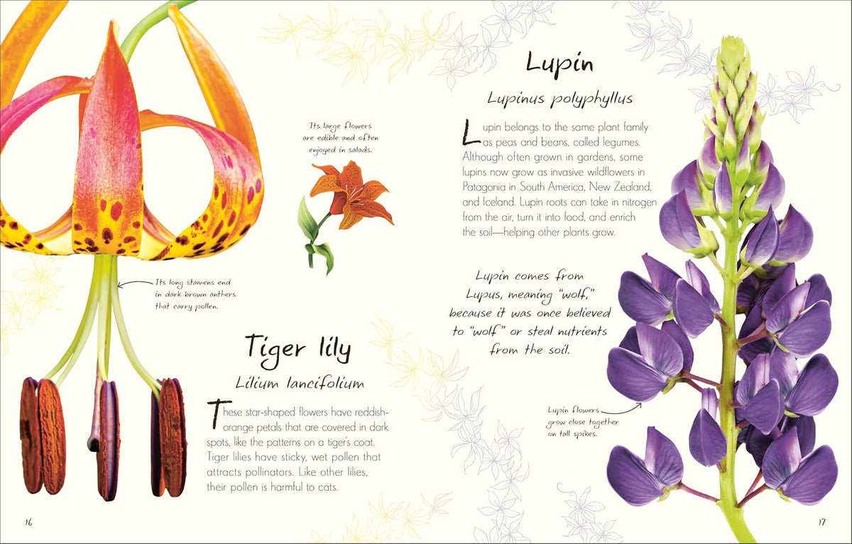 An Anthology of Flowers