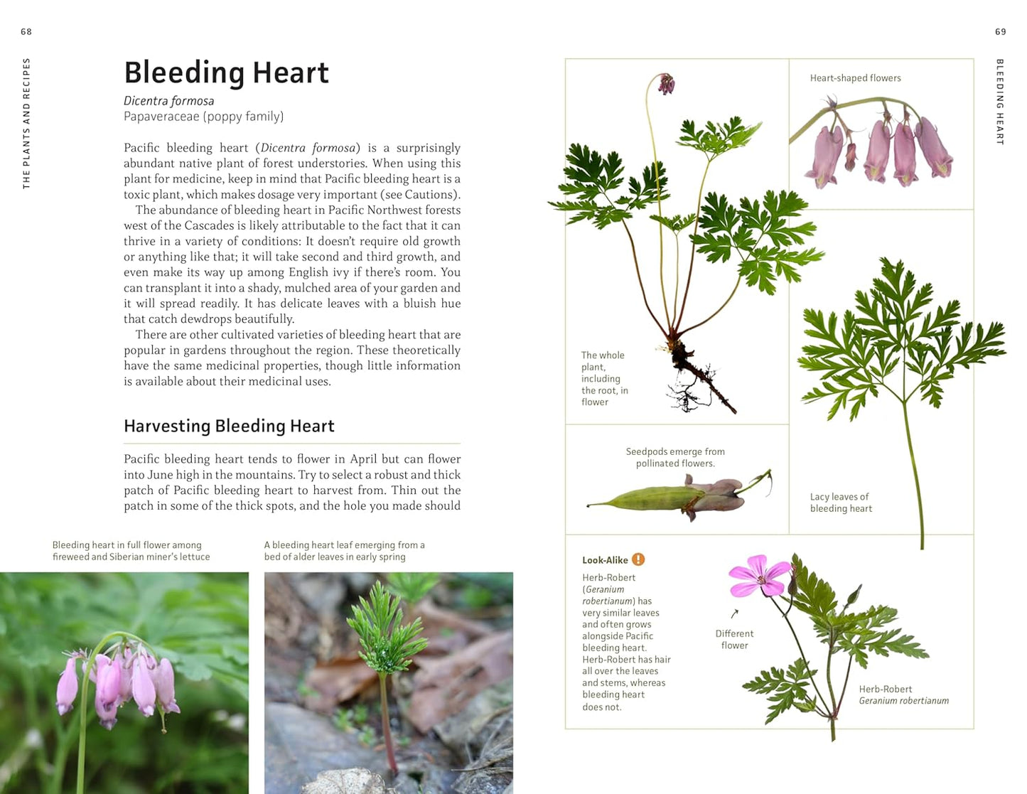 Medicinal Plants of the Pacific Northwest: A Visual Guide to Harvesting and Healing with 35 Common Species: A Visual Guide to Harvesting and Healing with 35 Common Species