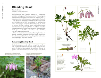 Medicinal Plants of the Pacific Northwest: A Visual Guide to Harvesting and Healing with 35 Common Species: A Visual Guide to Harvesting and Healing with 35 Common Species