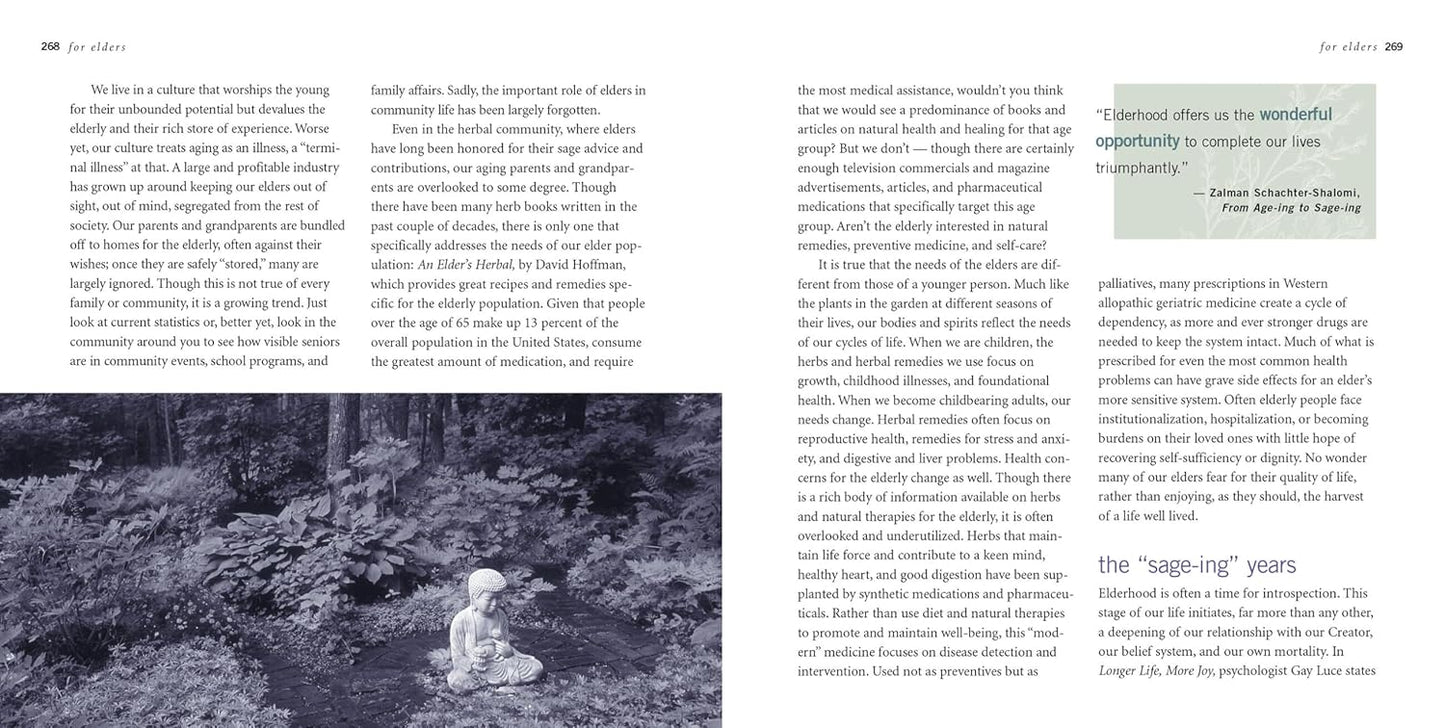 Rosemary Gladstar's Herbal Recipes for Vibrant Health: 175 Teas, Tonics, Oils, Salves, Tinctures, and Other Natural Remedies for the Entire Family by Rosemary Gladstar