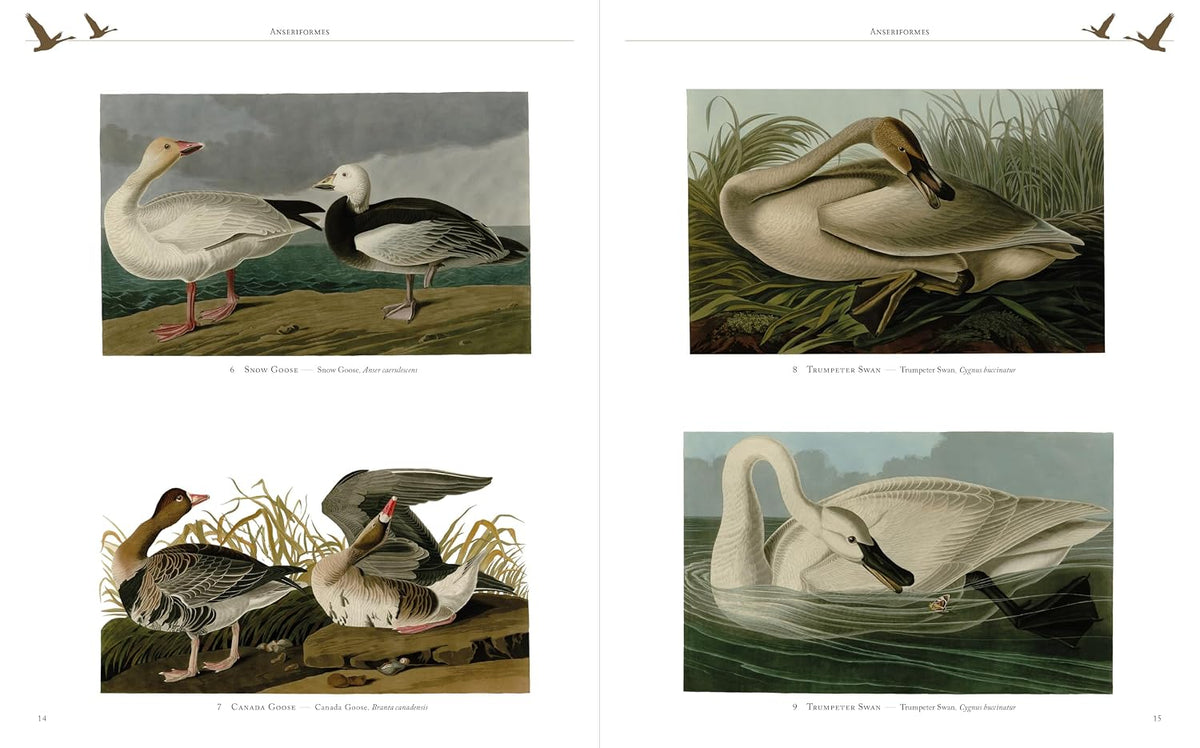Audubon's Birds Of America (Arcturus Epic Classics)