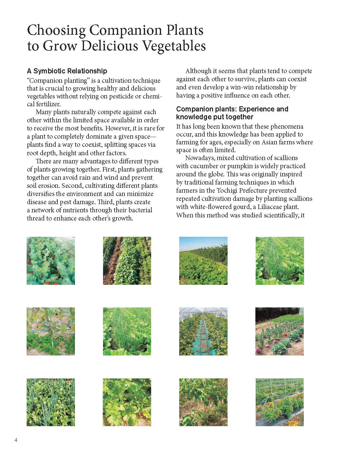 Japanese Style Companion Planting: Organic Gardening Techniques for Optimal Growth and Flavor: Organic Gardening Techniques for Optimal Growth and Flavor