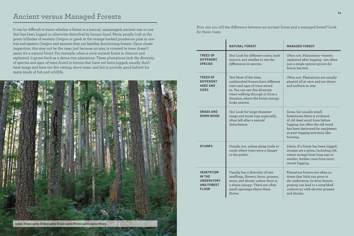 Oregon's Ancient Forests: A Hiking Guide
