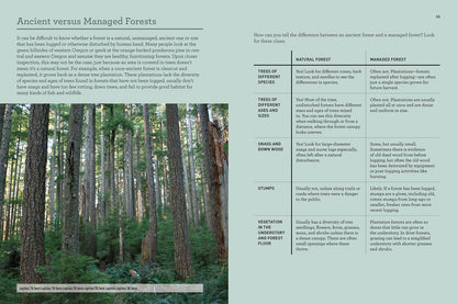 Oregon's Ancient Forests: A Hiking Guide
