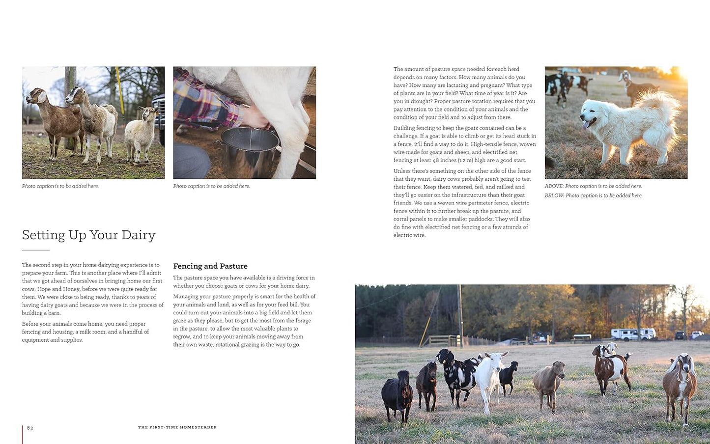 The First-Time Homesteader: A Complete Beginner's Guide to Starting and Loving Your New Homestead