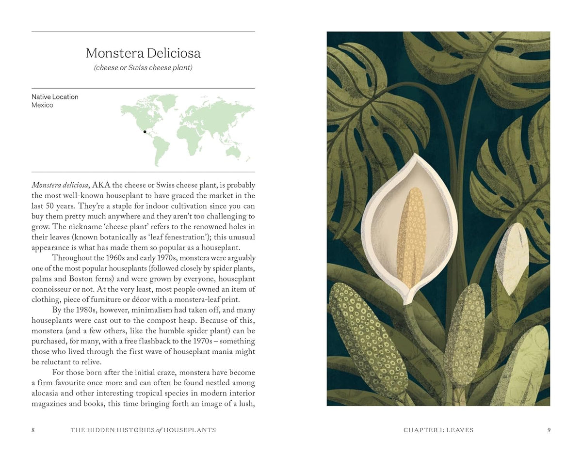 The Hidden Histories of Houseplants: Fascinating Stories of Our Most-Loved Houseplants