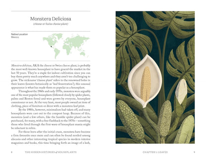The Hidden Histories of Houseplants: Fascinating Stories of Our Most-Loved Houseplants