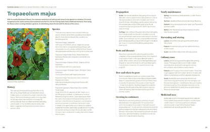100 Herbs to Grow: A Comprehensive Guide to the Best Culinary and Medicinal Herbs