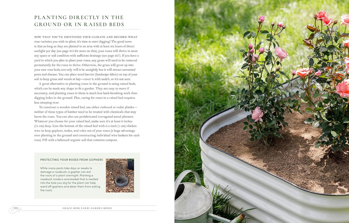 Grace Rose Farm: Garden Roses- The Complete Guide to Growing & Arranging Spectacular Blooms by Gracielinda Poulson