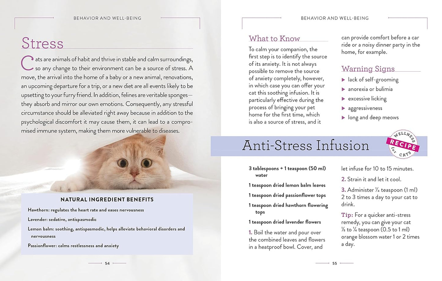 Wellness for Cats: A Guide for Health, Hygiene, and Happiness