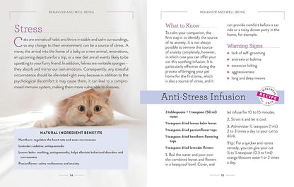 Wellness for Cats: A Guide for Health, Hygiene, and Happiness