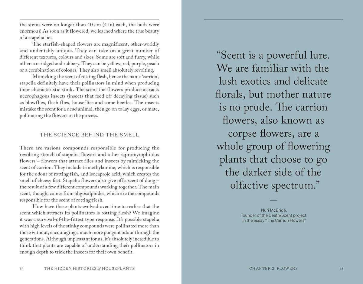 The Hidden Histories of Houseplants: Fascinating Stories of Our Most-Loved Houseplants