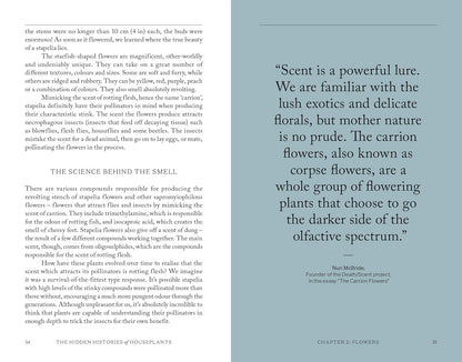 The Hidden Histories of Houseplants: Fascinating Stories of Our Most-Loved Houseplants
