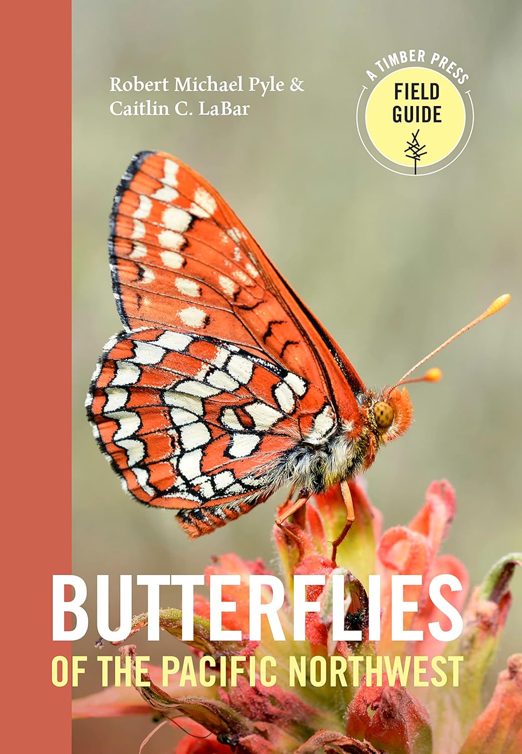Butterflies of the Pacific Northwest by Robert Michael Pyle & Caitlin C Labar
