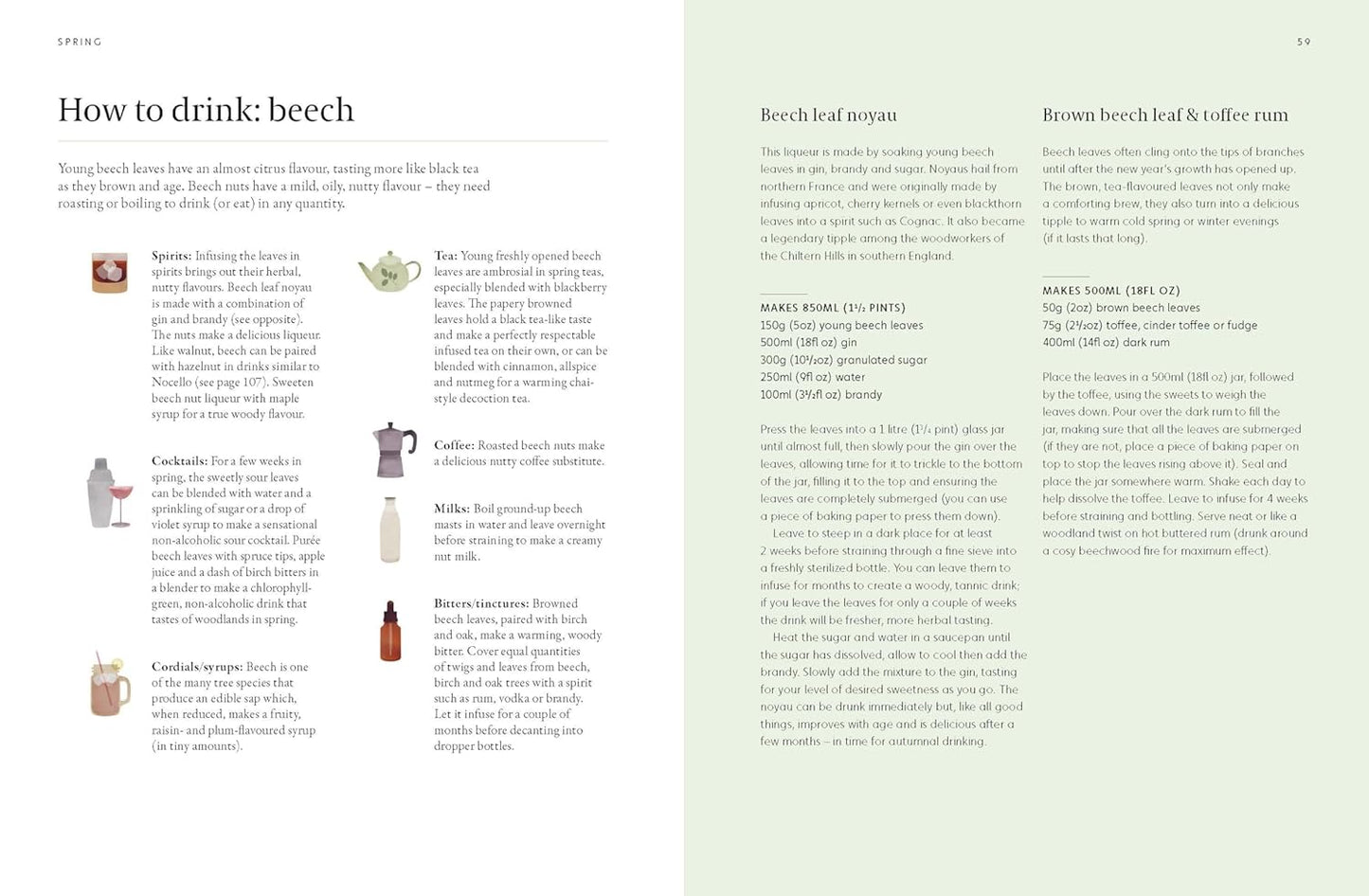 A Forager's Guide to Wild Drinks: Ferments, Infusions and Thirst-Quenchers for Every Season