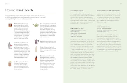 A Forager's Guide to Wild Drinks: Ferments, Infusions and Thirst-Quenchers for Every Season