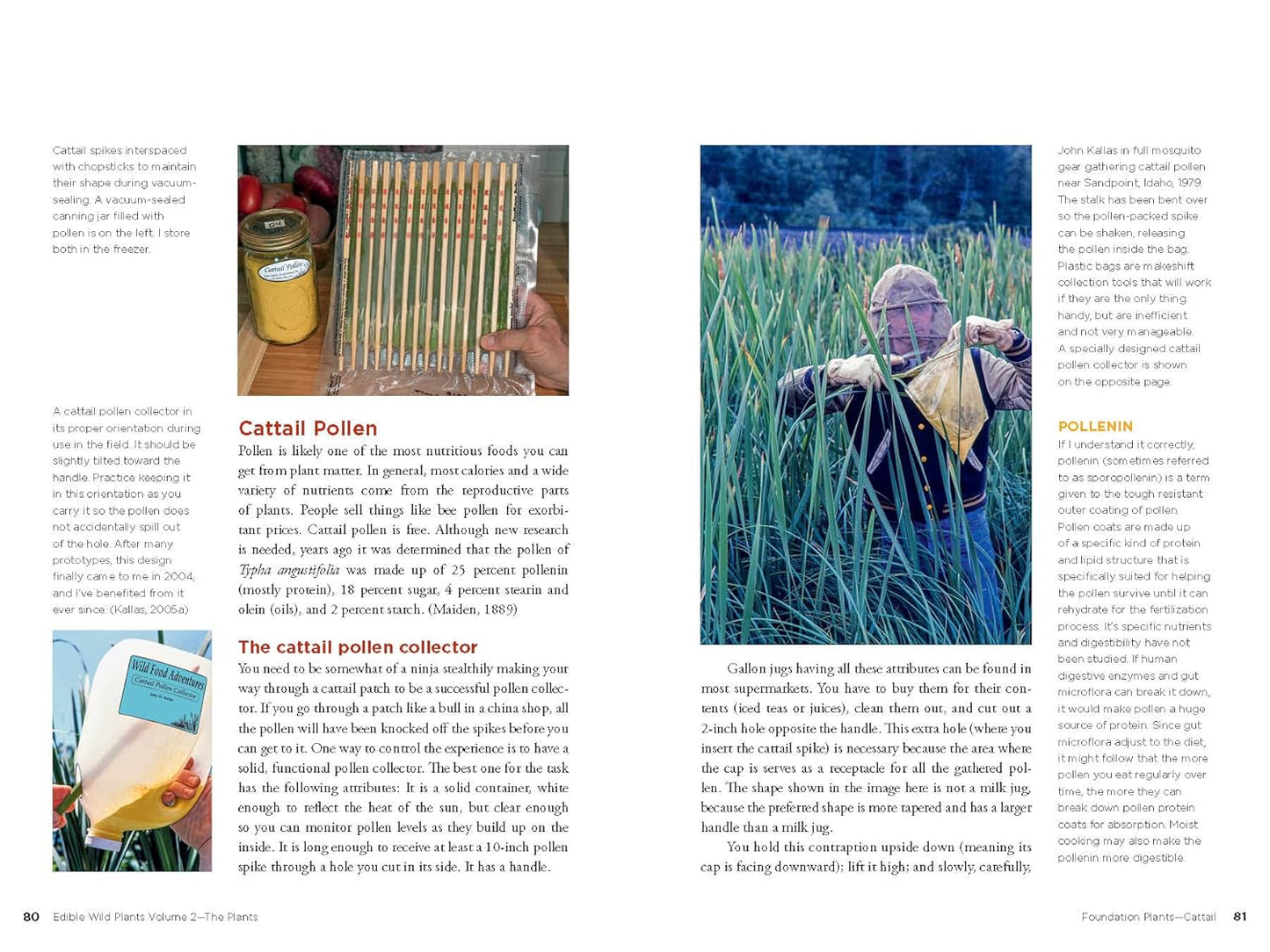 Edible Wild Plants, Volume 2: Wild Foods from Foraging to Feasting by John Kallas Phd