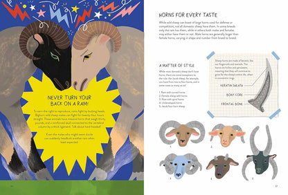 Sheepology: The Ultimate Encyclopedia: The Ultimate Encyclopedia