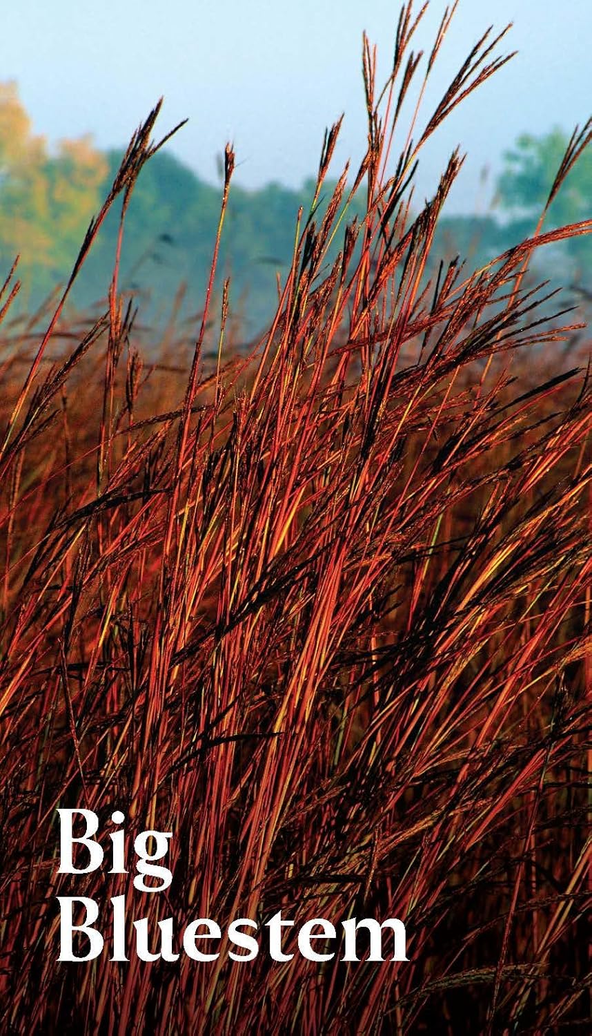 The Pollinator Garden Planning Deck: Build a Thriving Habitat for Bees, Birds, and Butterflies (109-Card Box Set) by Cathy, Jenny & Michael  Katz