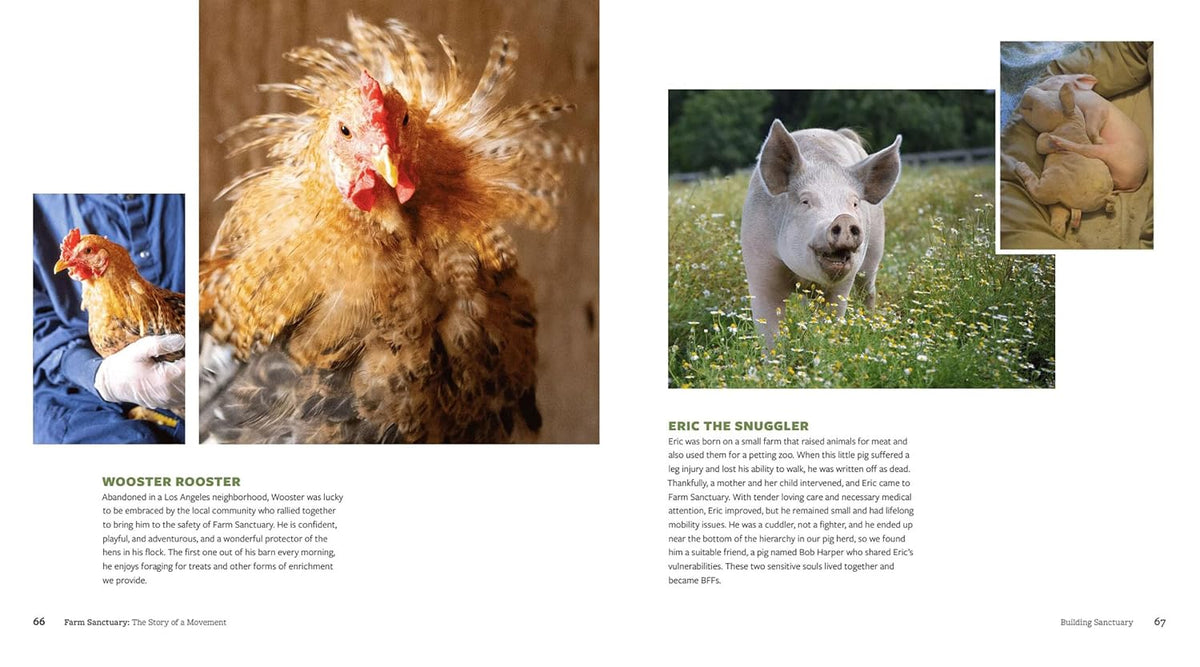 Farm Sanctuary: The Story of a Movement