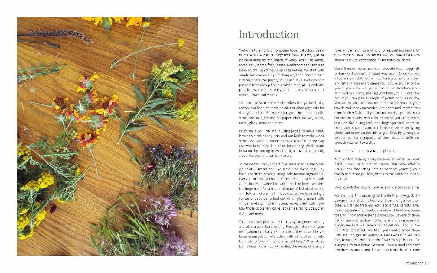 1000 Botanical Colors: Make Your Own Dyes, Paints, Inks, Stains, and Pottery Paints from 250 Plants by Caleb Warnock