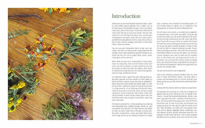 1000 Botanical Colors: Make Your Own Dyes, Paints, Inks, Stains, and Pottery Paints from 250 Plants by Caleb Warnock