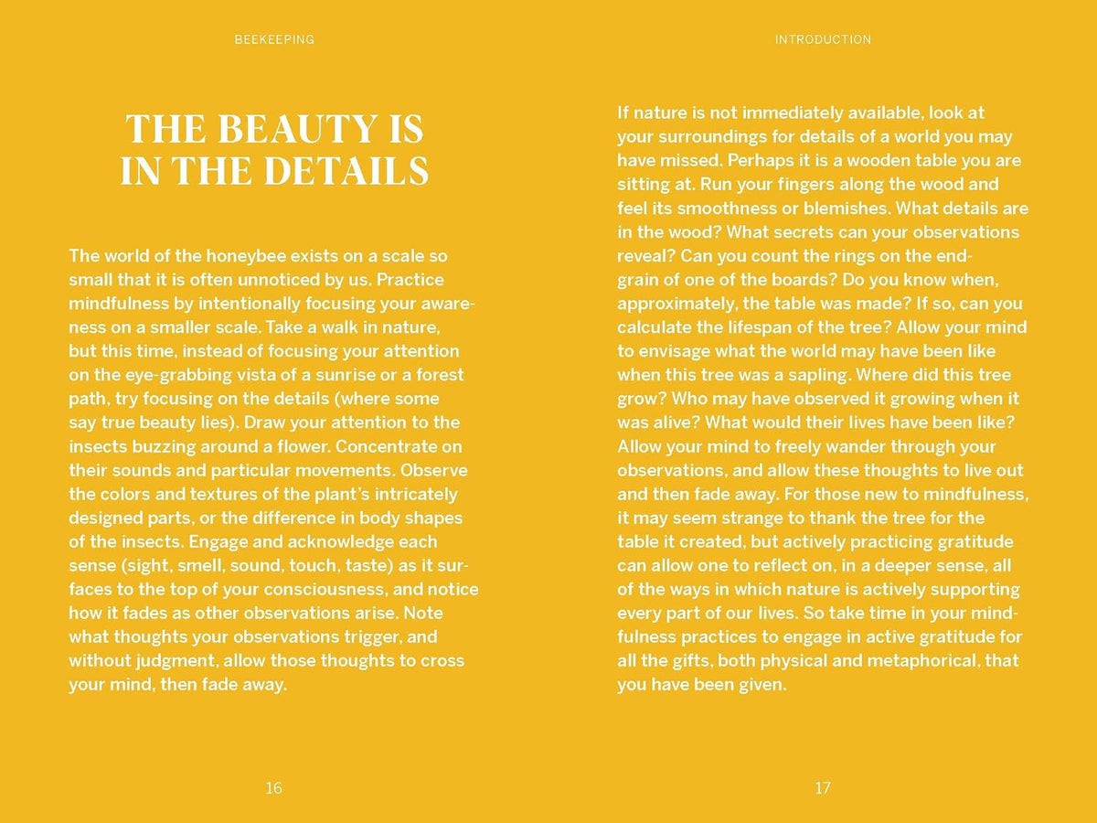 Beekeeping: Explore the Marvelous World of Honeybees (Pocket Nature)