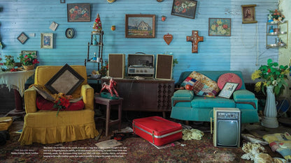 America the Abandoned: Captivating Portraits of Deserted Homes by Bryan Sansivero