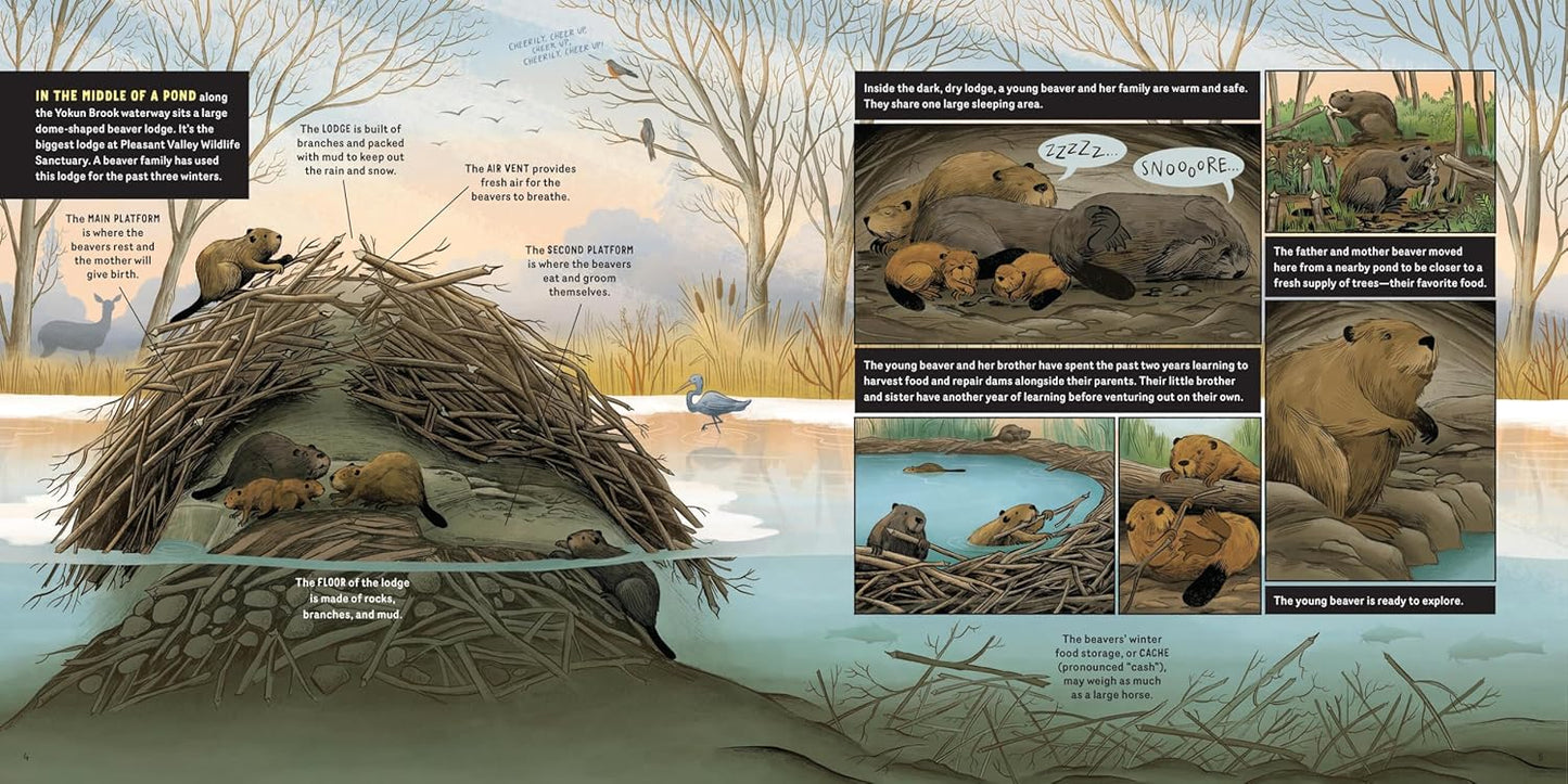 What Goes on Inside a Beaver Pond?