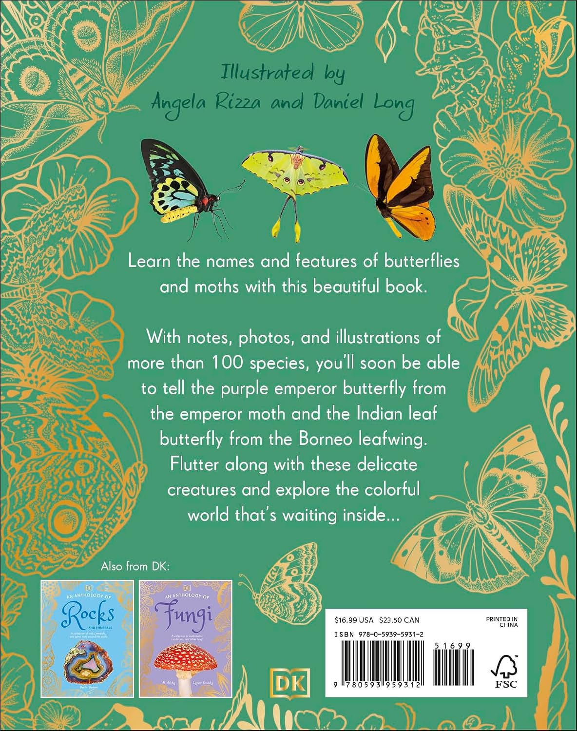 An Anthology of Butterflies and Moths: A Collection of Butterflies and Moths from Around the World
