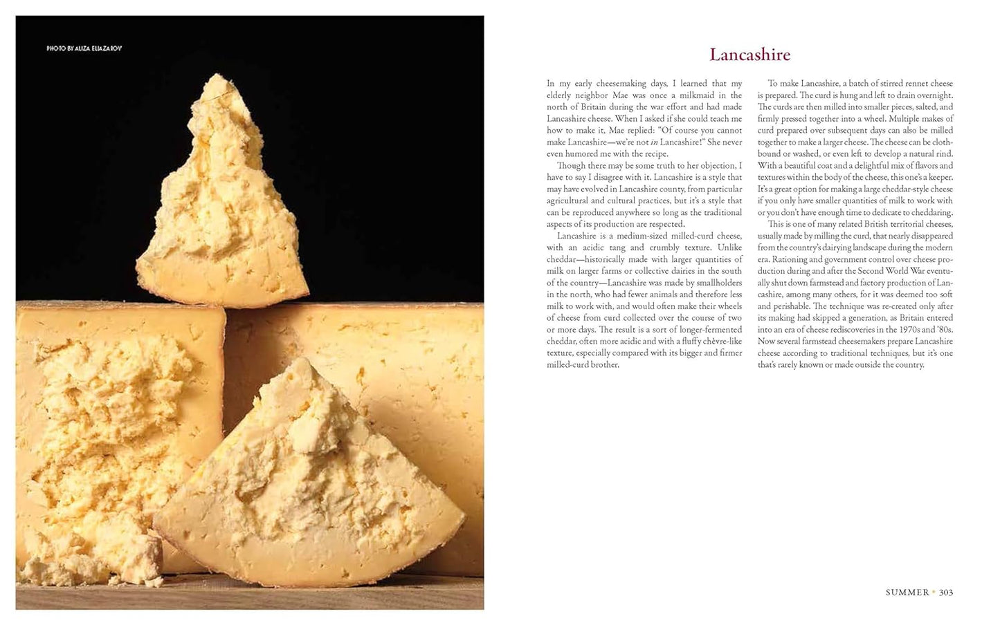 Milk Into Cheese: The Foundations of Natural Cheesemaking Using Traditional Concepts, Tools, and Techniques